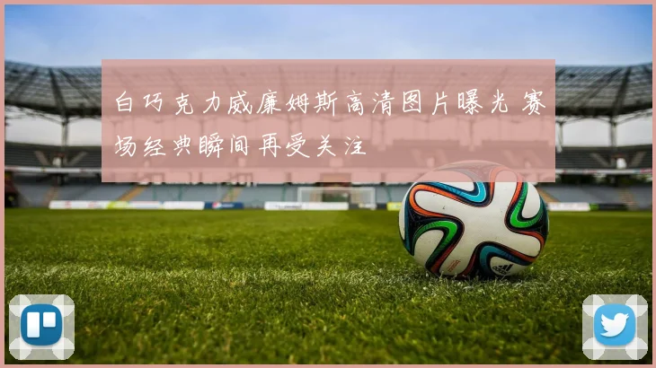 白巧克力威廉姆斯高清图片曝光 赛场经典瞬间再受关注